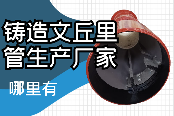 鑄造文丘里管生產廠家